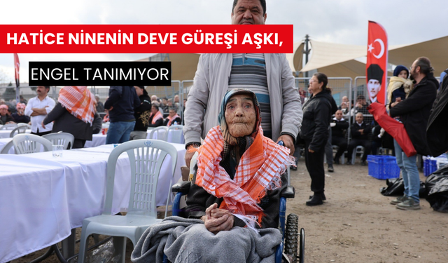 Hatice ninenin deve güreşi aşkı, engel tanımıyor