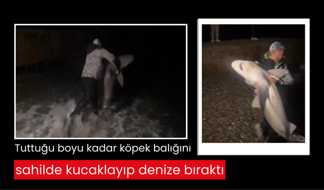 Balıkçı, 50 kiloluk köpek balığını kucaklayarak denize saldı