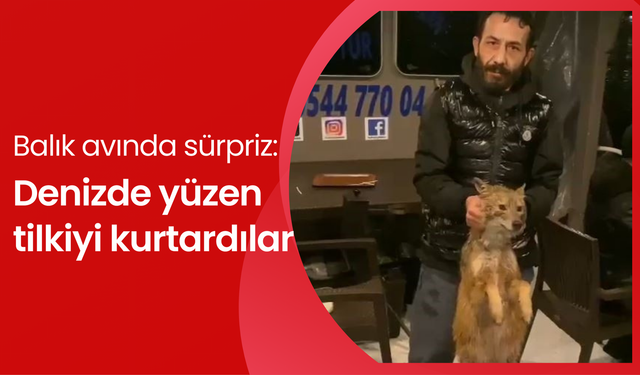 Balık avında sürpriz: Balık tutarken tilki yakaladılar