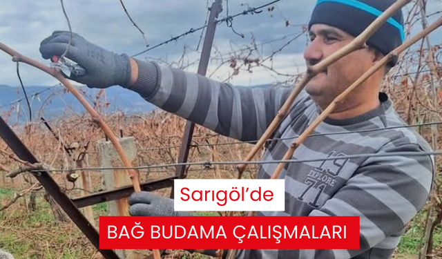 Sarıgöl’de bağ budama çalışmaları