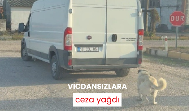 Vicdansızlara ceza yağdı