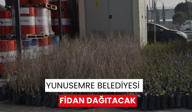 Yunusemre Belediyesi fidan dağıtacak