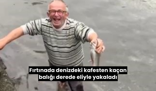 Fırtınada denizdeki kafesten kaçan balığı derede eliyle yakaladı