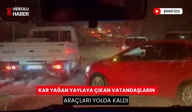 Kar yağışı, kar görmek için yaylaya çıkmak isteyenleri vurdu... Yolda kalan araçlar vatandaşları mahsur bıraktı