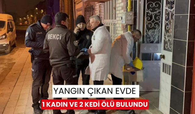 Yangın çıkan evde 1 kadın ve 2 kedi ölü bulundu