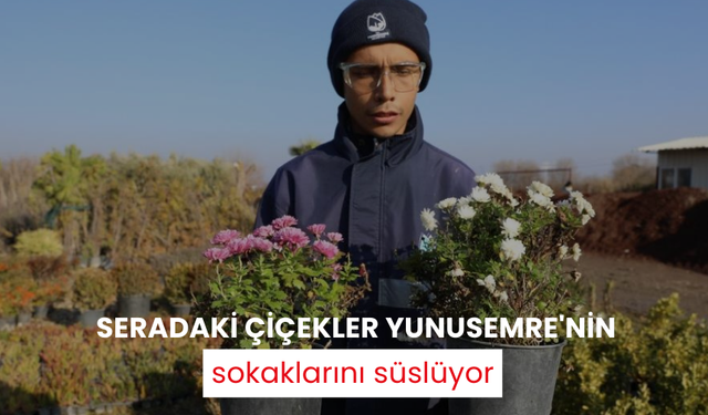 Seradaki çiçekler Yunusemre'nin sokaklarını süslüyor