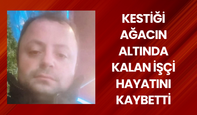 Kestiği ağacın altında kalan işçi hayatını kaybetti