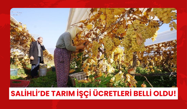 Bağ bağlama, çapa, sebze toplama… Salihli’de tarım işçi ücretleri belli oldu! Zeytin ve meyve budaması kaç lira oldu?