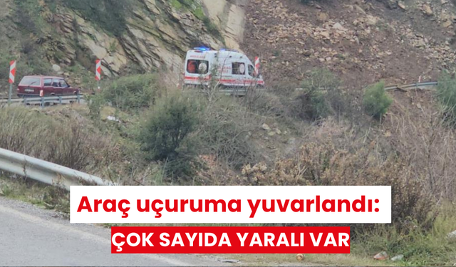 Araç uçuruma yuvarlandı: Çok sayıda yaralı var