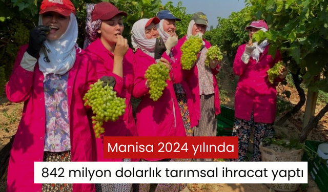 Manisa 2024 yılında 842 milyon dolarlık tarımsal ihracat yaptı