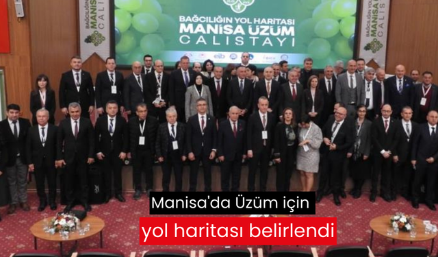 Manisa'da Üzüm için yol haritası belirlendi