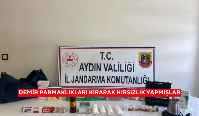 Demir parmaklıkları kırarak hırsızlık yapmışlar