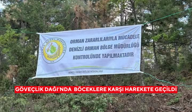 Göveçlik Dağı’nda ağaçları kurutan böceklere karşı harekete geçildi