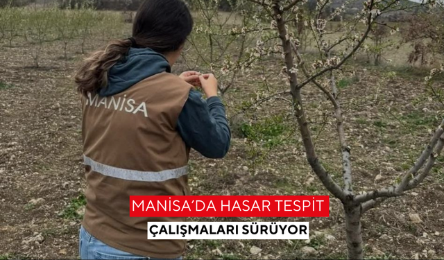 Manisa’da hasar tespit çalışmaları sürüyor