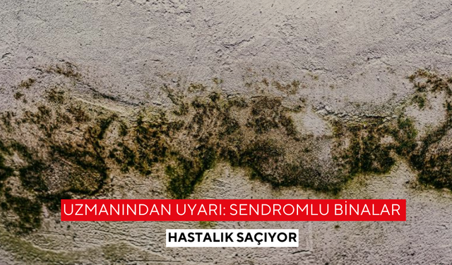 Uzmanından uyarı: Sendromlu binalar hastalık saçıyor