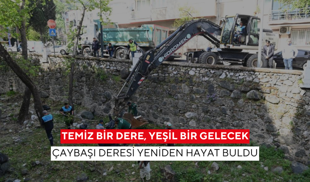 Temiz bir dere, yeşil bir gelecek... Çaybaşı deresi yeniden hayat buldu