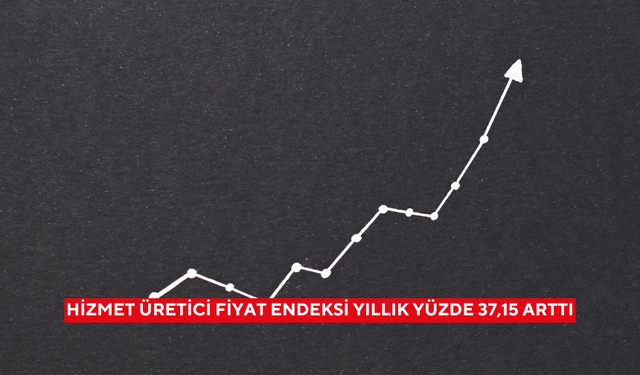 Hizmet üretici fiyat endeksi yıllık yüzde 37,15 arttı