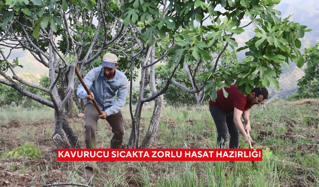 Kavurucu sıcakta zorlu hasat hazırlığı