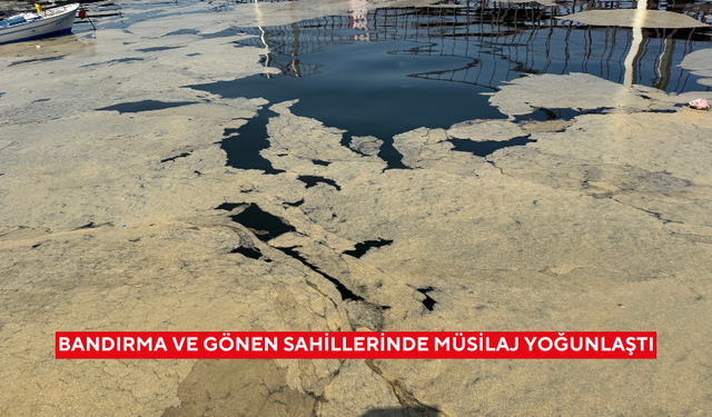 Bandırma ve Gönen sahillerinde müsilaj yoğunlaştı