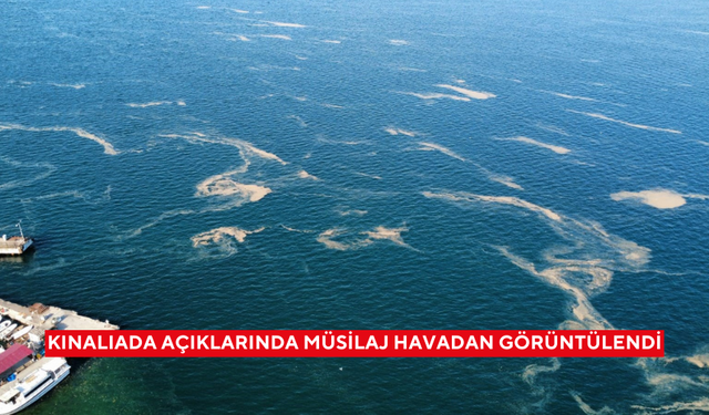 Kınalıada açıklarında müsilaj havadan görüntülendi