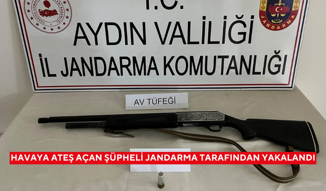 Havaya ateş açan şüpheli jandarma tarafından yakalandı