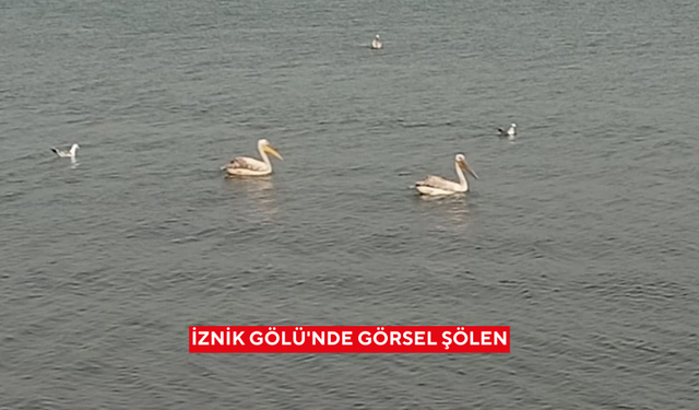 İznik Gölü'nde görsel şölen