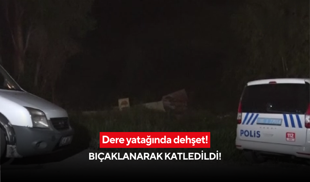 Dere yatağında dehşet! Bıçaklanarak katledildi!