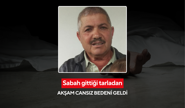 Sabah tarlaya, akşam morga: Yaşlı adam tarlada ölü bulundu