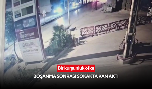 Bir kurşunluk öfke: Boşanma sonrası sokakta kan aktı