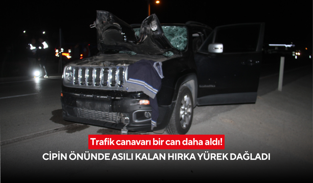 Gece mesaisi bitti, evine gidemedi: Yolun karşısına geçmek isterken canından oldu