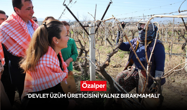Özalper ‘Devlet üzüm üreticisini yalnız bırakmamalı’