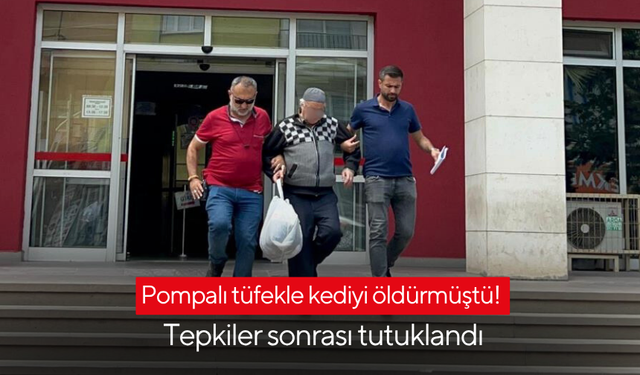 Pompalı tüfekle kediyi öldürmüştü! Tepkiler sonrası tutuklandı
