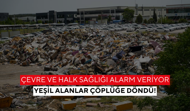 Yeşil alanlar çöplüğe döndü! | Su Deposu olarak bilinen bölge çöp alanına dönüştü