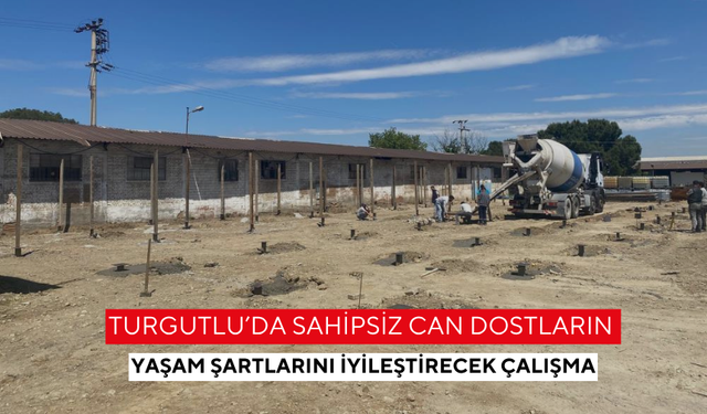 Turgutlu’da sahipsiz can dostların yaşam şartlarını iyileştirecek çalışma