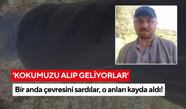 'Kokumuzu alıp geliyorlar' dedi, tarlada kaçacak yer aradı!