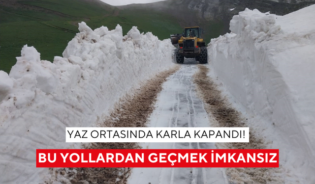 Yaz ortasında karla kapandı! Bu yollardan geçmek imkansız