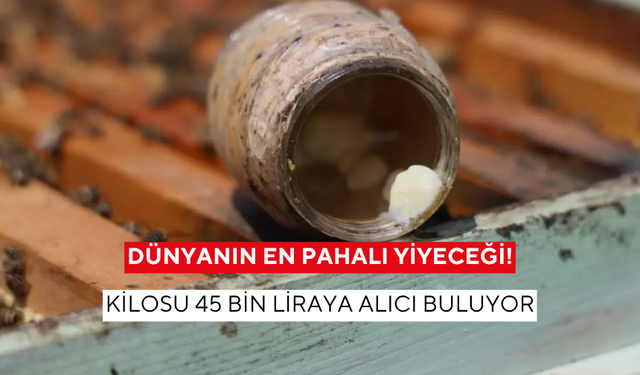 İthal ediliyordu, şimdi yerli üretildi… Kilosu 45 bin liraya alıcı buluyor