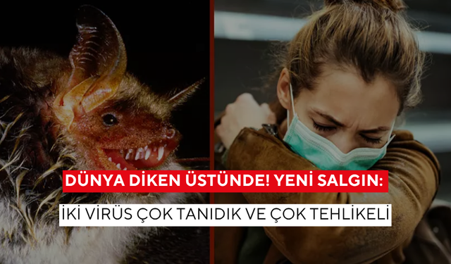 Dünya diken üstünde! Yeni salgın: İki virüs çok tanıdık ve çok tehlikeli