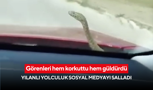 Görenleri hem korkuttu hem güldürdü: Yılanlı yolculuk sosyal medyayı salladı