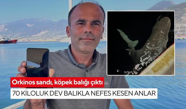 Orkinos sandı, köpek balığı çıktı: 70 kiloluk dev balıkla nefes kesen anlar