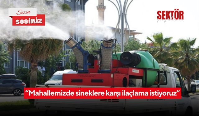 “Mahallemizde sineklere karşı ilaçlama istiyoruz”