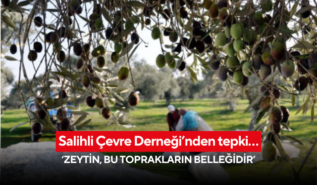 Salihli Çevre Derneği’nden tepki… ‘Zeytin, bu toprakların belleğidir’