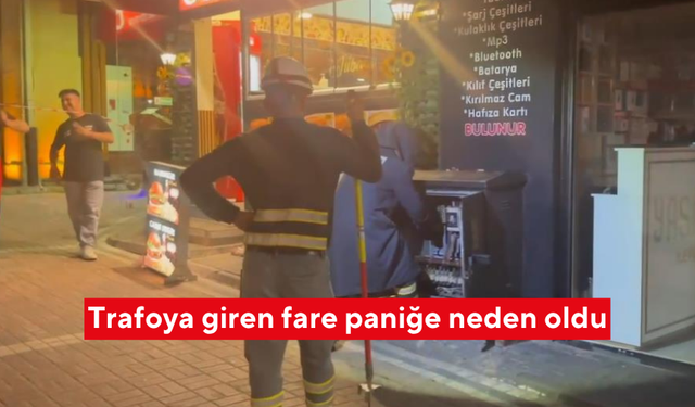Trafoya giren fare paniğe neden oldu