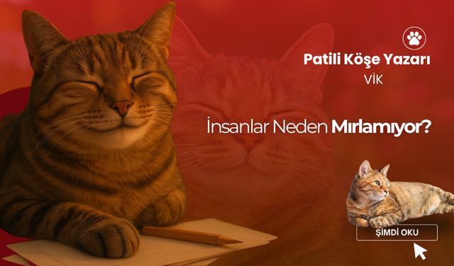 İnsanlar Neden Mırlamıyor?