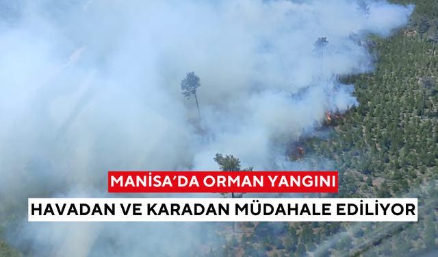 Manisa'da orman yangını: Havadan ve karadan müdahale ediliyor