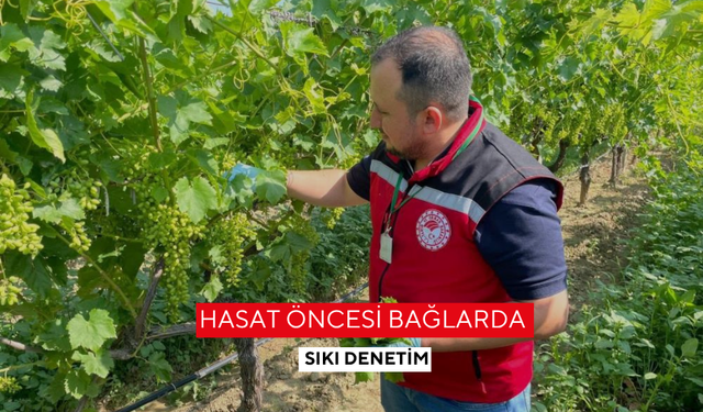 Hasat öncesi bağlarda sıkı denetim