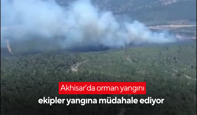 Akhisar’da orman yangını