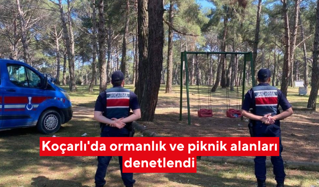 Ormanlık ve piknik alanları denetlendi