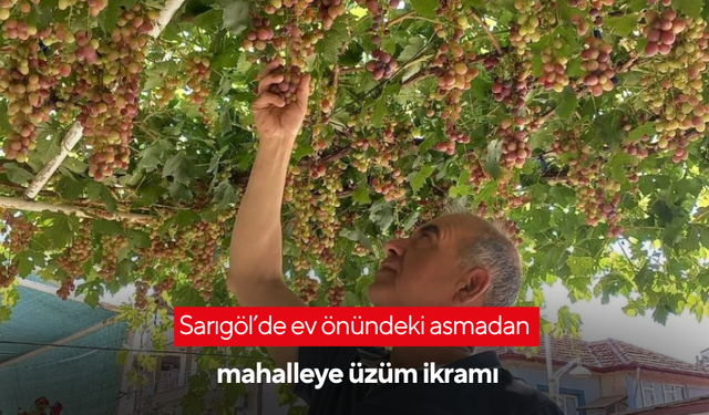 Sarıgöl’de ev önündeki asmadan mahalleye üzüm ikramı
