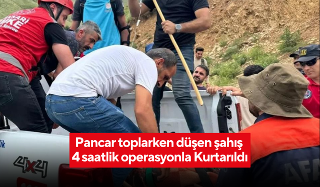 Pancar toplarken düşen şahıs 4 saatlik operasyonla kurtarıldı